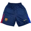 IMG_3643 Calções FC Barcelona Principal 24/25 - "9"