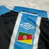 Grêmio Principal 25/26