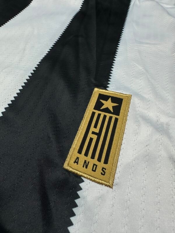 Botafogo Principal 25/26