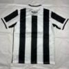 Botafogo Principal 25/26