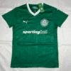 Palmeiras Principal 25/26