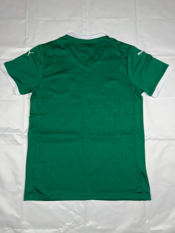Palmeiras Principal 25/26