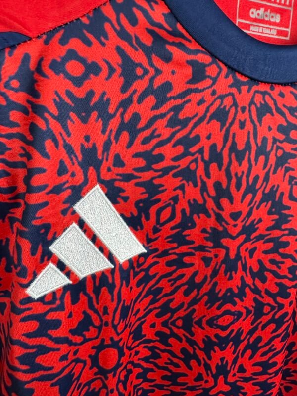 IMG_5426 Costa Rica Principal 2024/25