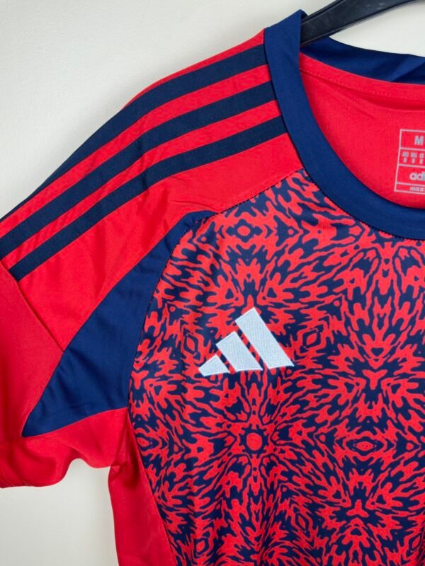 IMG_5427 Costa Rica Principal 2024/25